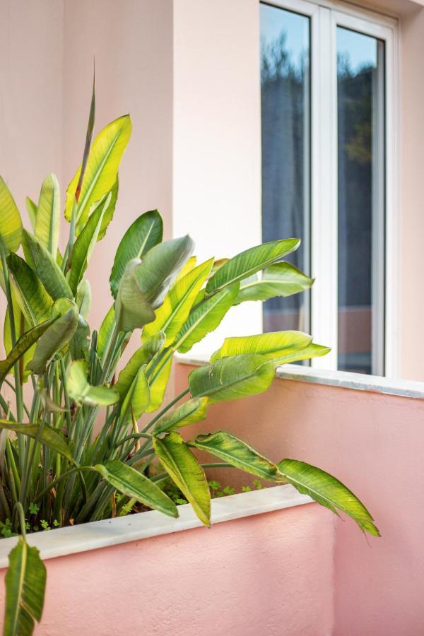 Aphrodite Studios & Apartment Bali  Exteriér fotografie